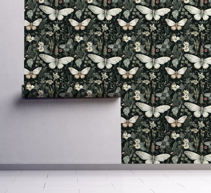 enchanted moth wallpaper on wall